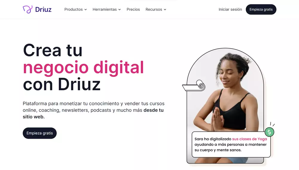 Captura de la web de Driuz